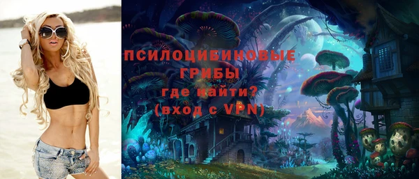 твердый Алексин
