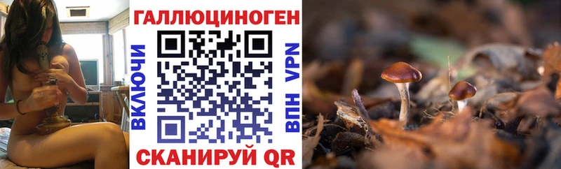 OMG зеркало закладка Десногорск Галлюциногенные грибы Cubensis