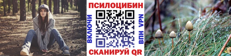 Галлюциногенные грибы GOLDEN TEACHER Десногорск