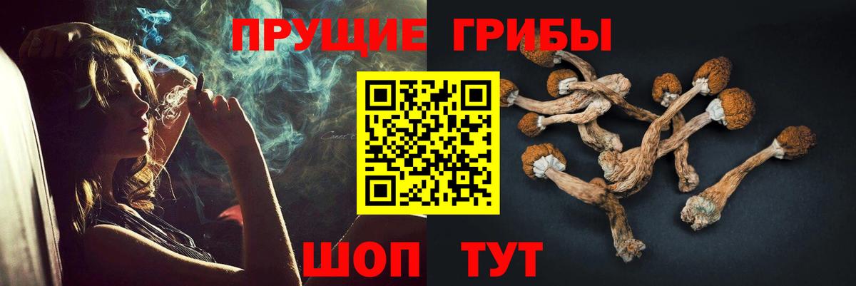Галлюциногенные грибы мицелий Десногорск